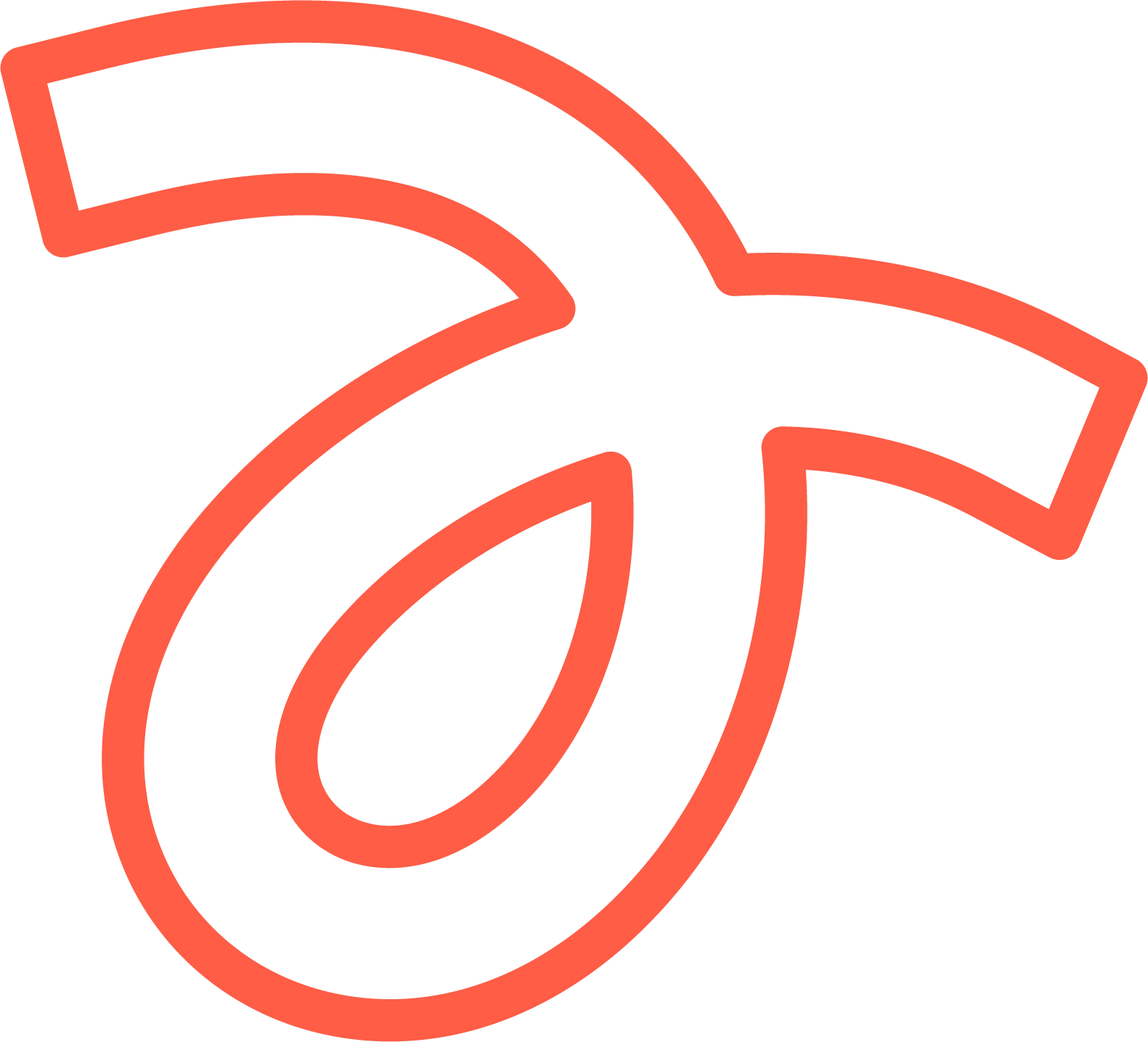 Asher Ginsberg Design